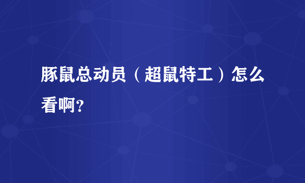 豚鼠总动员（超鼠特工）怎么看啊？