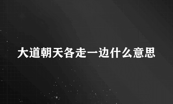 大道朝天各走一边什么意思