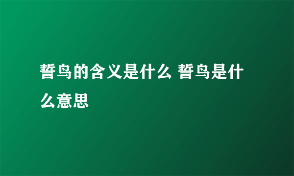 誓鸟的含义是什么 誓鸟是什么意思