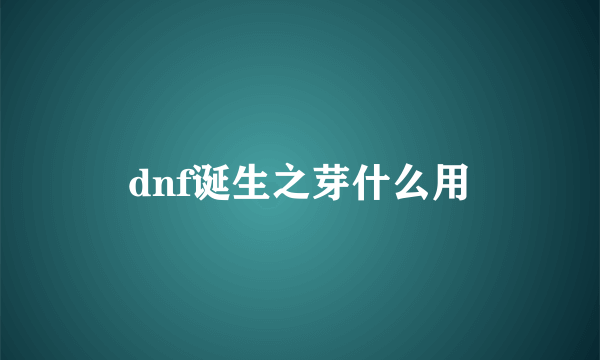 dnf诞生之芽什么用