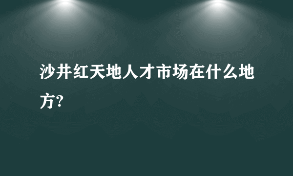 沙井红天地人才市场在什么地方?