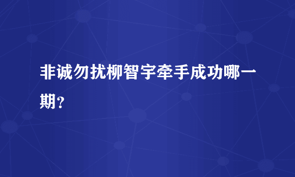 非诚勿扰柳智宇牵手成功哪一期？