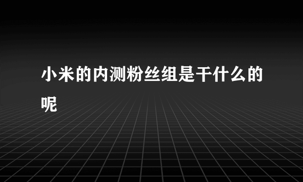 小米的内测粉丝组是干什么的呢