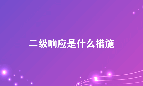 二级响应是什么措施