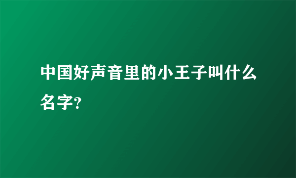 中国好声音里的小王子叫什么名字？