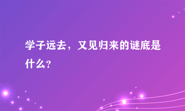 学子远去，又见归来的谜底是什么？