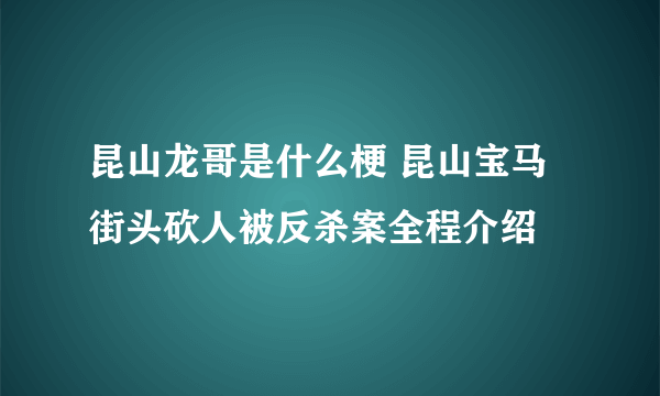 昆山龙哥是什么梗 昆山宝马街头砍人被反杀案全程介绍