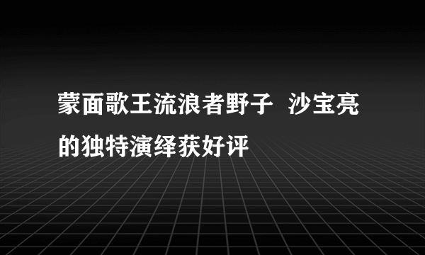 蒙面歌王流浪者野子  沙宝亮的独特演绎获好评