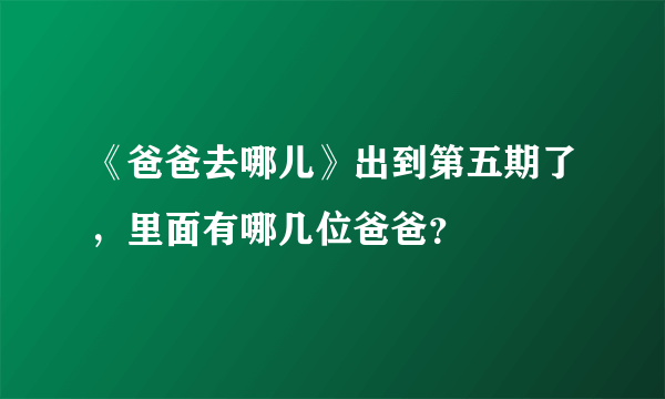 《爸爸去哪儿》出到第五期了，里面有哪几位爸爸？