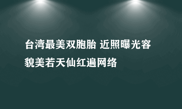 台湾最美双胞胎 近照曝光容貌美若天仙红遍网络