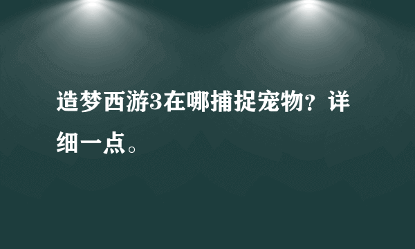 造梦西游3在哪捕捉宠物？详细一点。