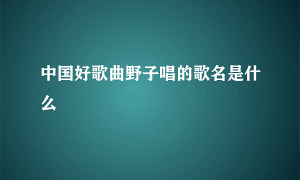 中国好歌曲野子唱的歌名是什么