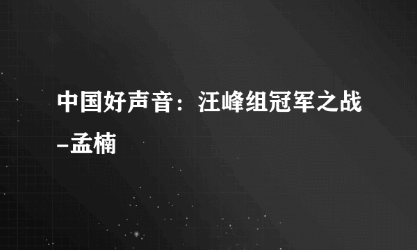 中国好声音：汪峰组冠军之战-孟楠