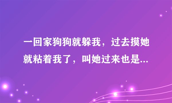 一回家狗狗就躲我，过去摸她就粘着我了，叫她过来也是夹着尾巴就溜，怎么办