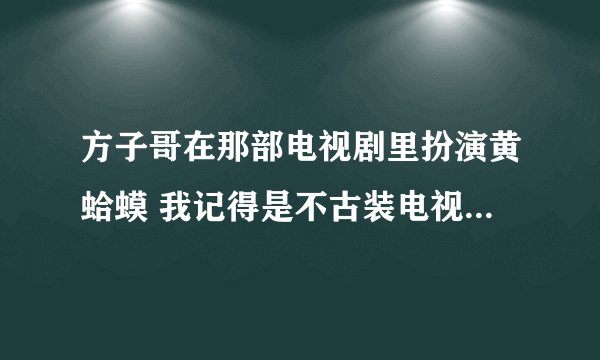 方子哥在那部电视剧里扮演黄蛤蟆 我记得是不古装电视剧 好像是方子哥