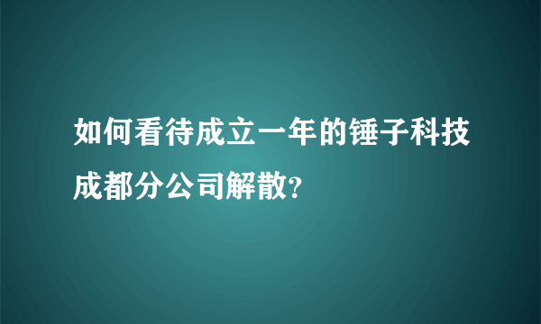 如何看待成立一年的锤子科技成都分公司解散？