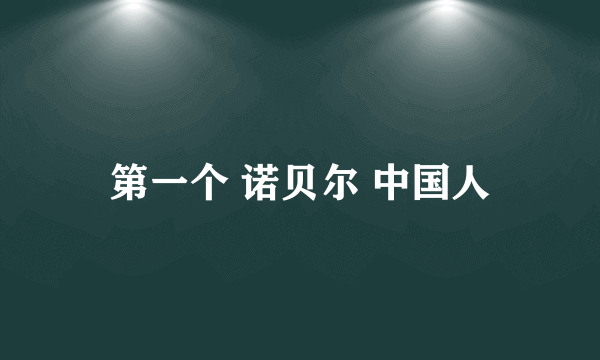 第一个 诺贝尔 中国人