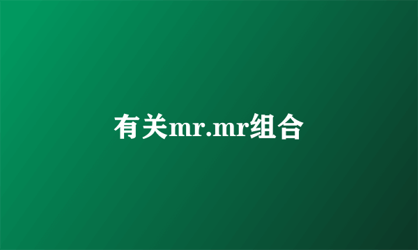 有关mr.mr组合