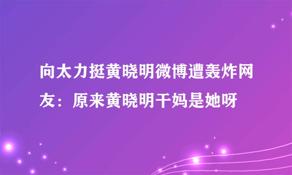 向太力挺黄晓明微博遭轰炸网友：原来黄晓明干妈是她呀