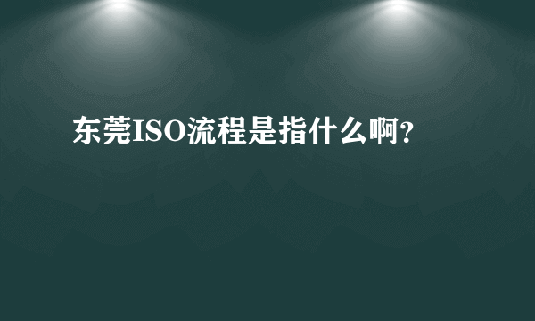 东莞ISO流程是指什么啊？