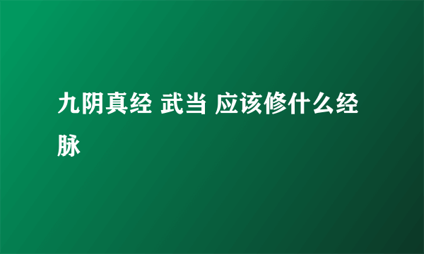 九阴真经 武当 应该修什么经脉