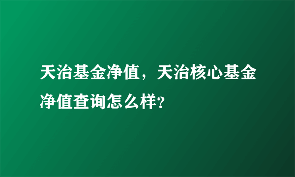 天治基金净值，天治核心基金净值查询怎么样？