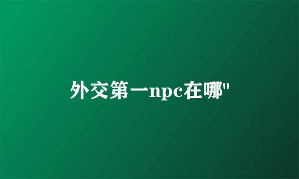 外交第一npc在哪