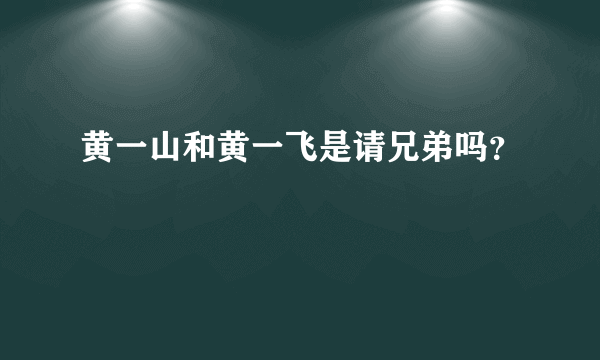 黄一山和黄一飞是请兄弟吗？