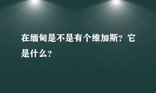 在缅甸是不是有个维加斯？它是什么？