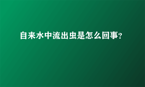 自来水中流出虫是怎么回事？