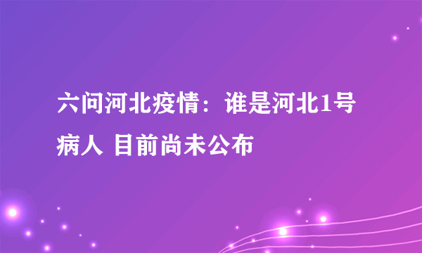 六问河北疫情：谁是河北1号病人 目前尚未公布