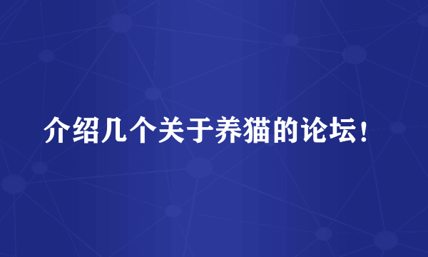 介绍几个关于养猫的论坛！