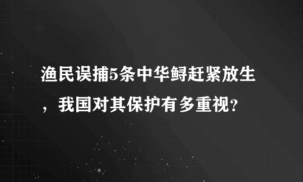 渔民误捕5条中华鲟赶紧放生，我国对其保护有多重视？