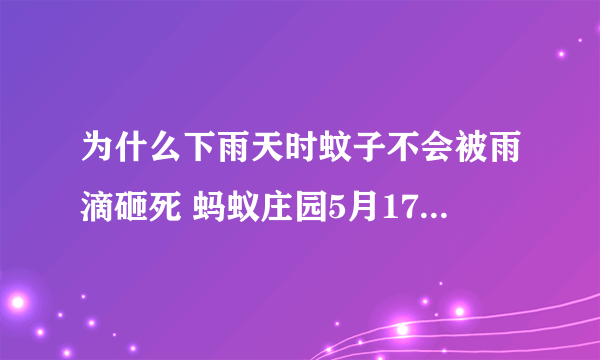 为什么下雨天时蚊子不会被雨滴砸死 蚂蚁庄园5月17日问题答案。