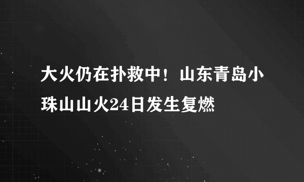 大火仍在扑救中！山东青岛小珠山山火24日发生复燃