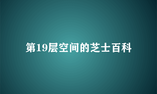 第19层空间的芝士百科