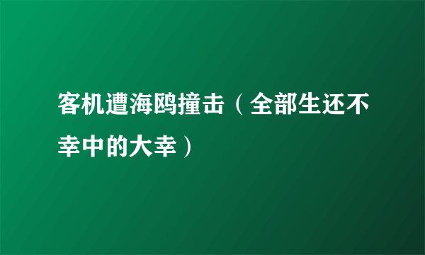 客机遭海鸥撞击（全部生还不幸中的大幸）