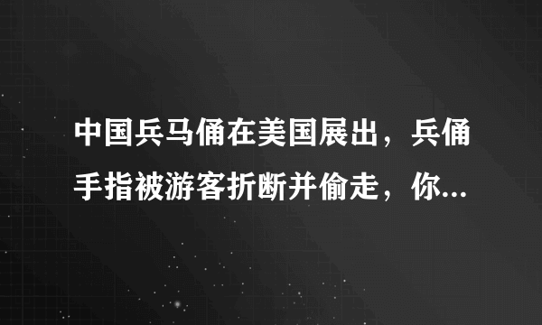 中国兵马俑在美国展出，兵俑手指被游客折断并偷走，你怎么看？