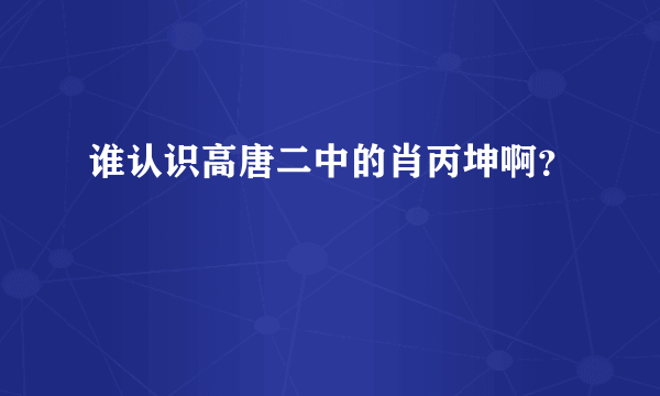 谁认识高唐二中的肖丙坤啊？