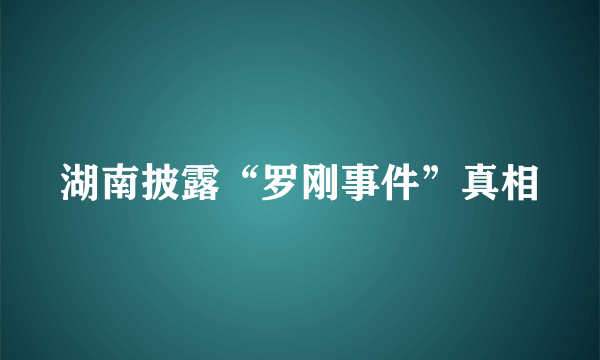 湖南披露“罗刚事件”真相