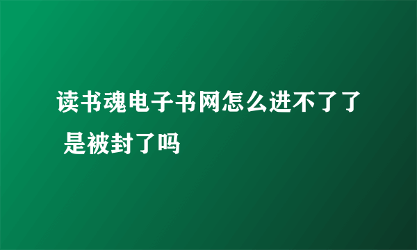 读书魂电子书网怎么进不了了 是被封了吗