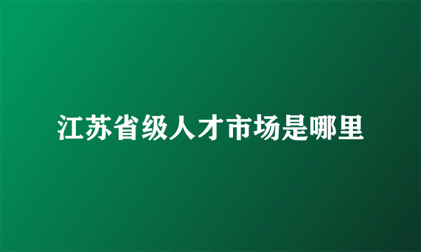 江苏省级人才市场是哪里