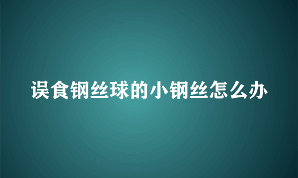 误食钢丝球的小钢丝怎么办