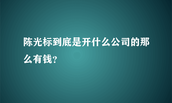 陈光标到底是开什么公司的那么有钱？