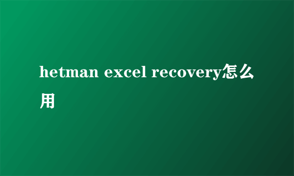 hetman excel recovery怎么用