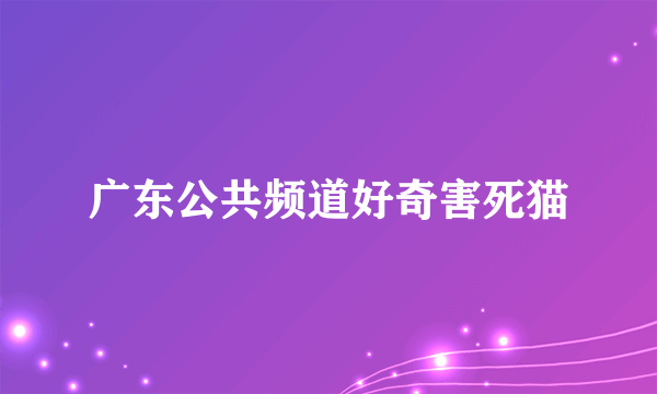 广东公共频道好奇害死猫