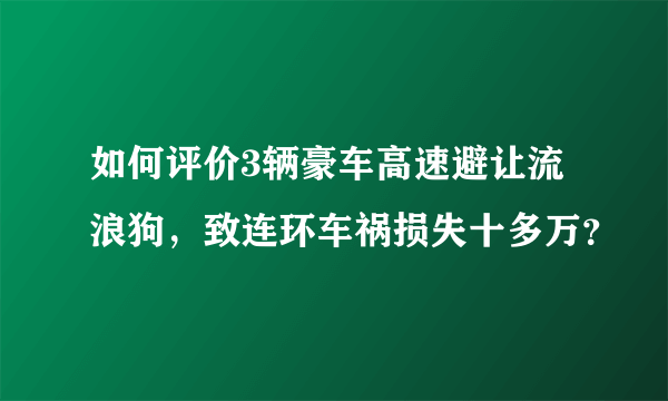 如何评价3辆豪车高速避让流浪狗，致连环车祸损失十多万？