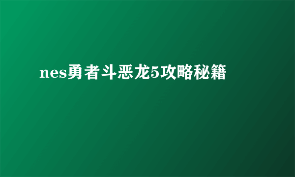 nes勇者斗恶龙5攻略秘籍