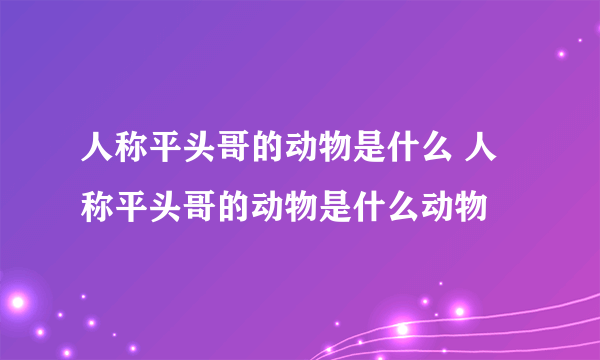 人称平头哥的动物是什么 人称平头哥的动物是什么动物