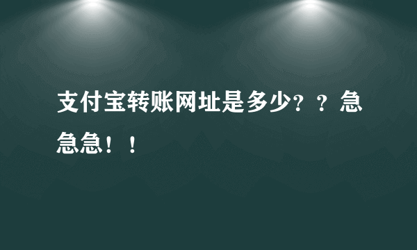 支付宝转账网址是多少？？急急急！！